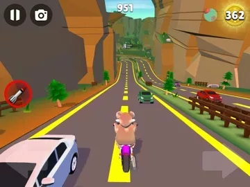 Faily Rider