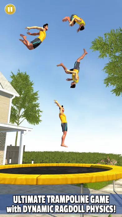 Flip Master