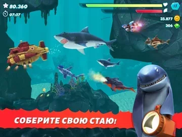 Hungry Shark Evolution: акула