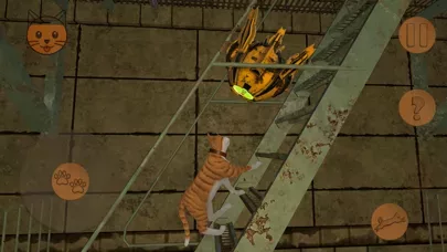 Stray Cat Adventure Simulator
