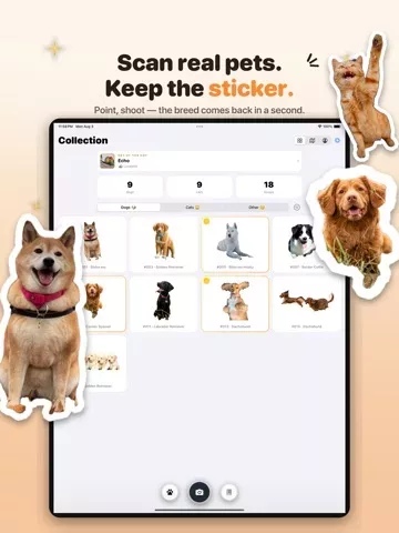 Boop: Catch Every Dog & Cat