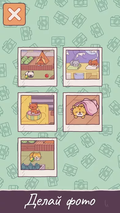 Cats Hotel: The Grand Meow