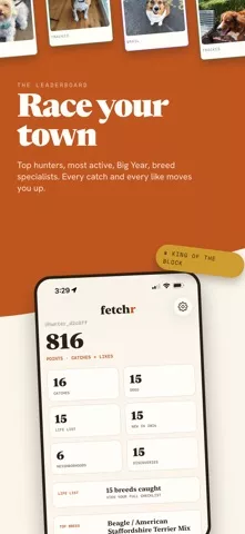 Fetchr — Catch Every Dog