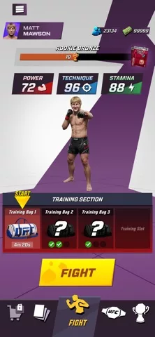 UFC: KO!