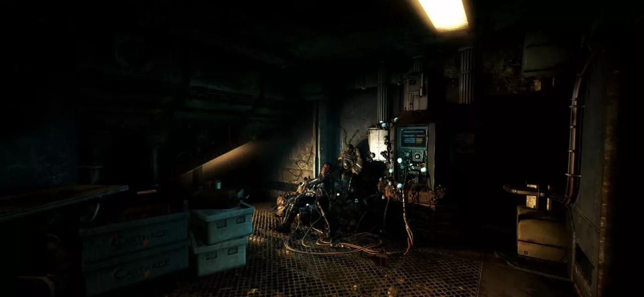 SOMA