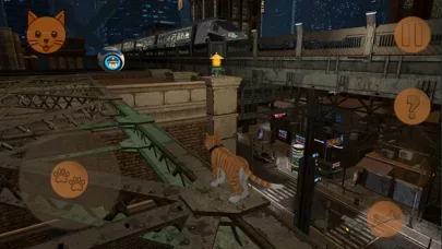 Stray Cat Adventure Simulator