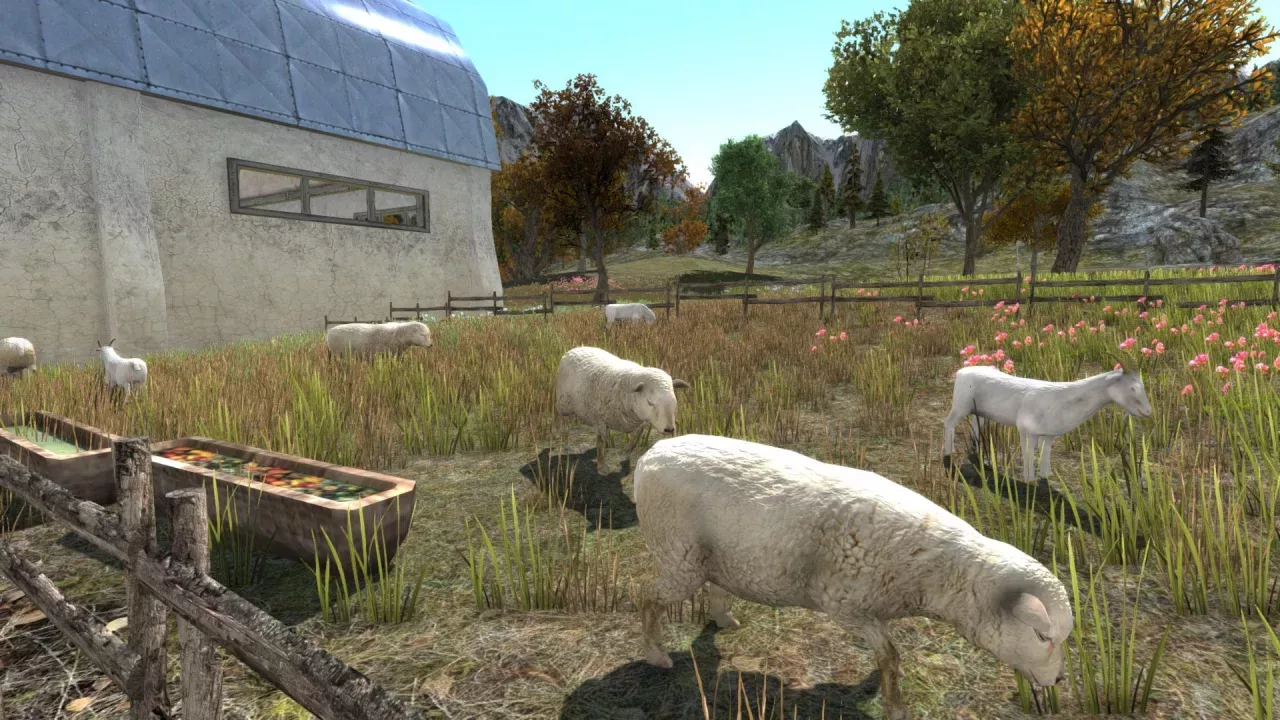 Cattle & Cultivation