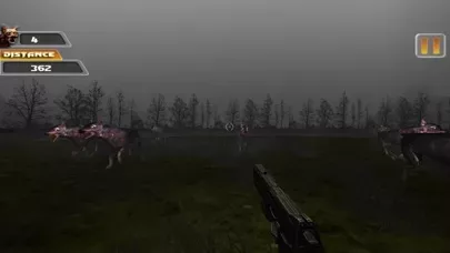 В джунгли