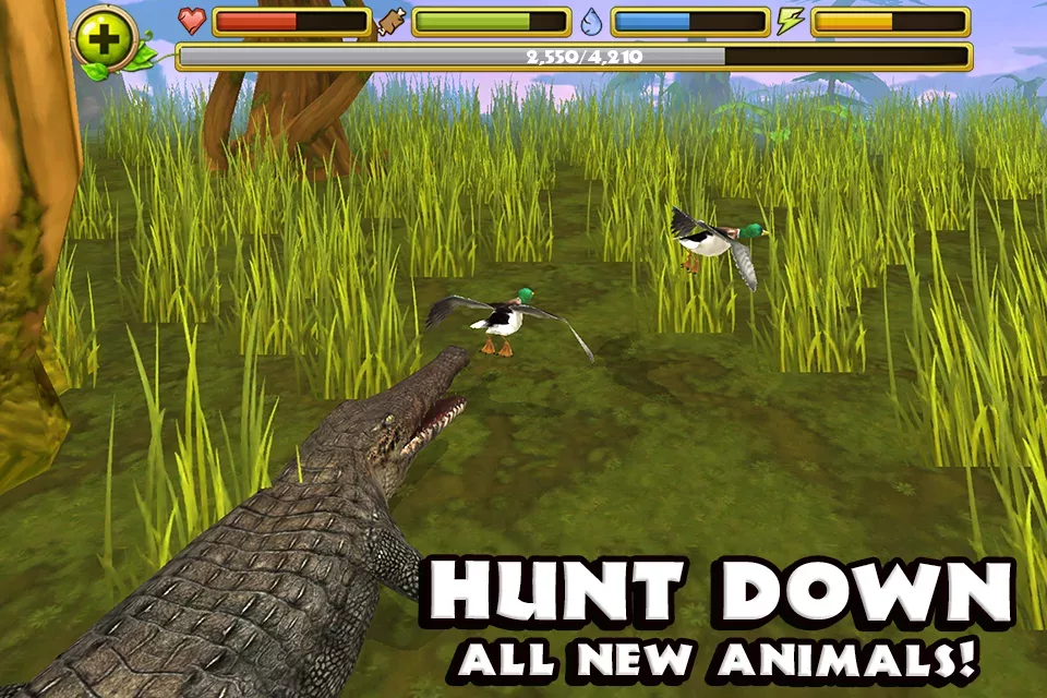 Wildlife Simulator: Crocodile