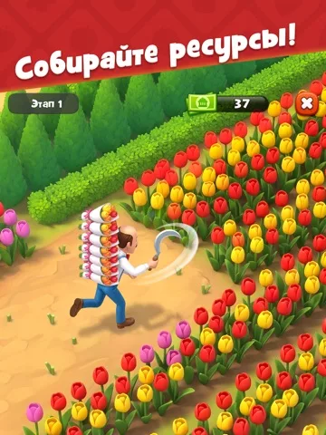 Gardenscapes