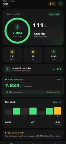 Pedometer — Step Counter