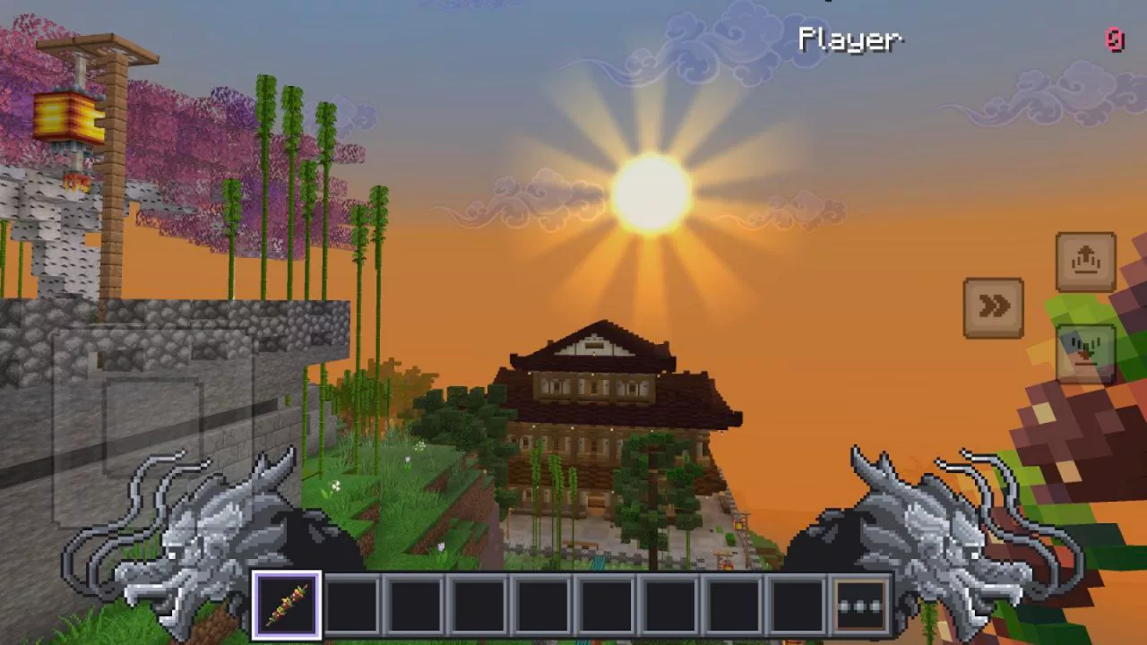 Ninja Craftastic