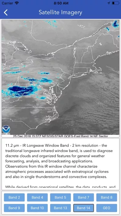Snow Report & Forecast