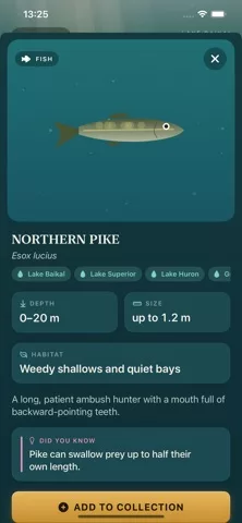 Lake Atlas