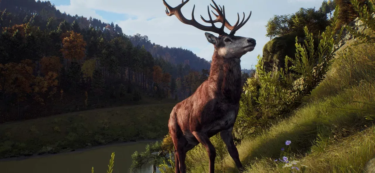 Way of the Hunter Elite Edition