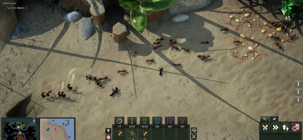 Empires of the Undergrowth