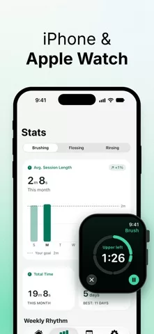Hippobrush: Toothbrush Timer