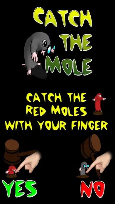 Catch the Moles