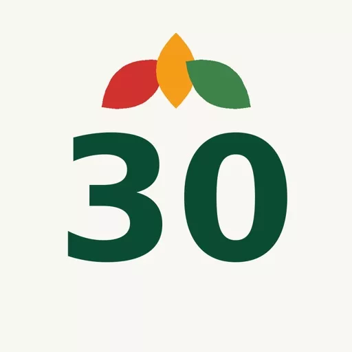 Magic 30
