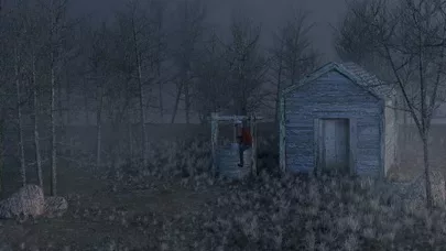 Misty Forest death breakout