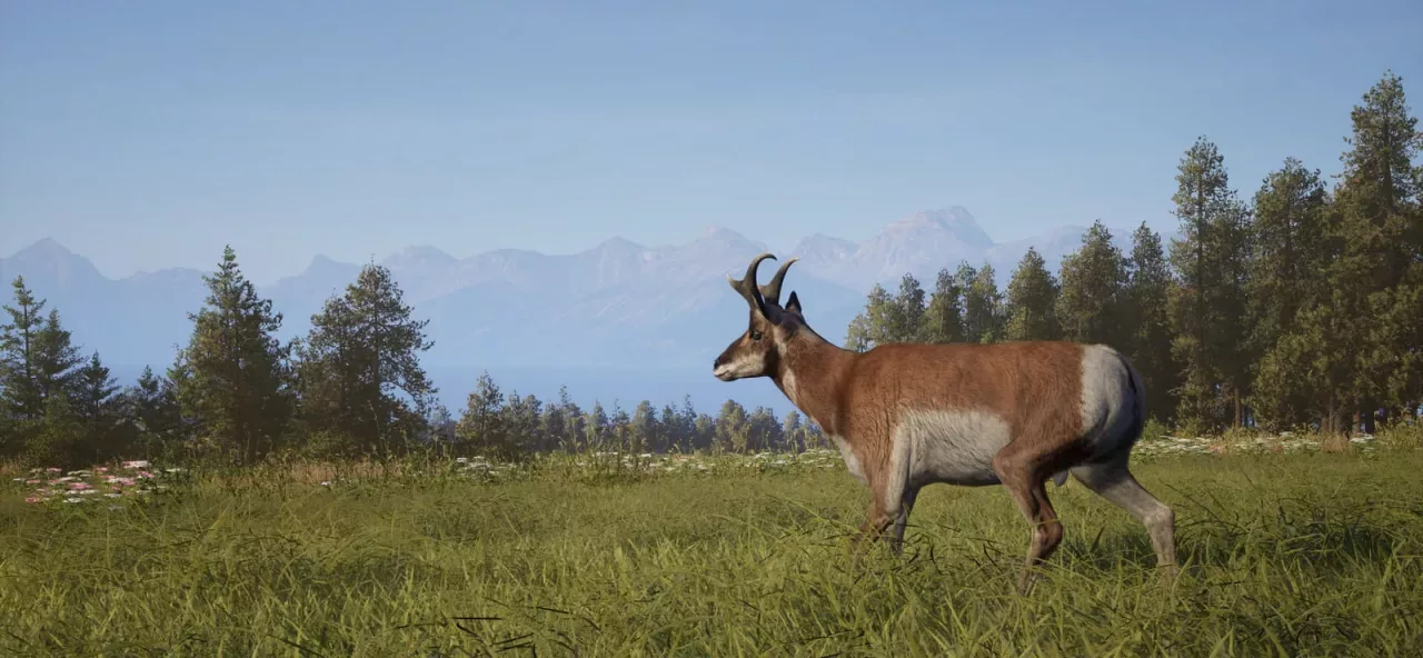 Way of the Hunter 2