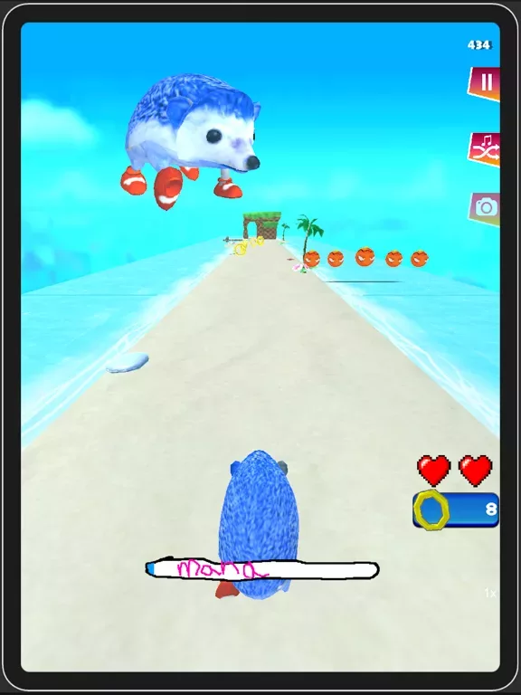 Go Sanic Goo! MLG
