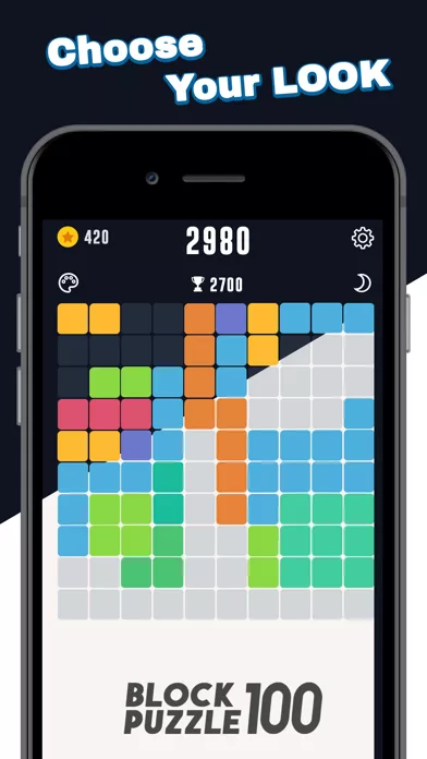 Block Puzzle 100