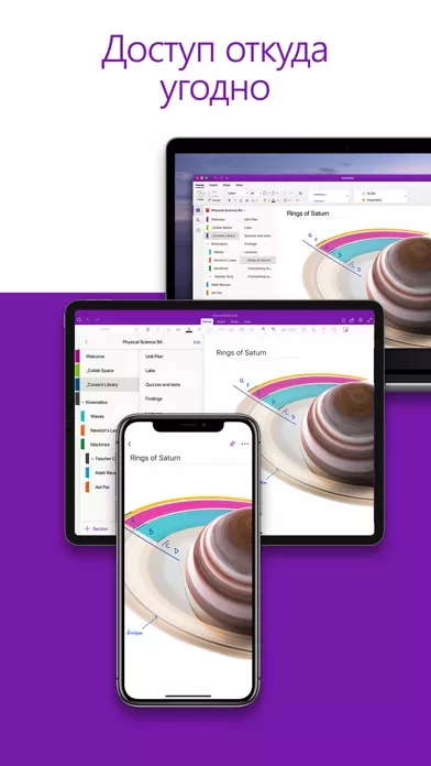 Microsoft OneNote