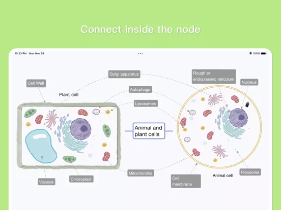 MindSpace - Mind Map