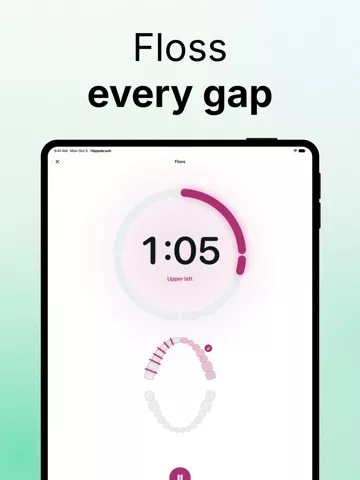 Hippobrush: Toothbrush Timer