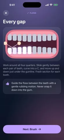 Brushwise