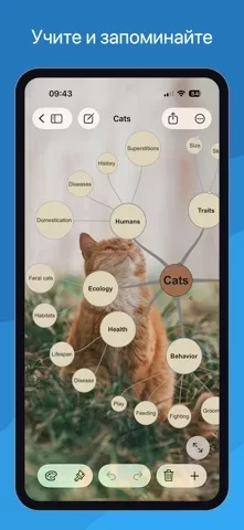 SimpleMind - Mind Mapping