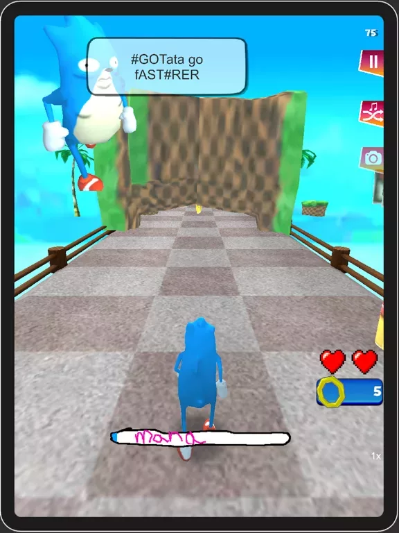 Go Sanic Goo! MLG