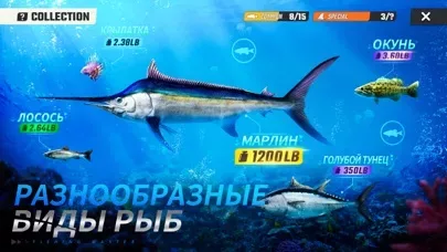 Fishing Master