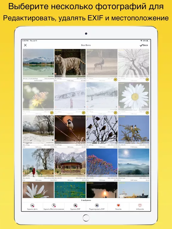 EXIF Viewer LITE by Fluntro