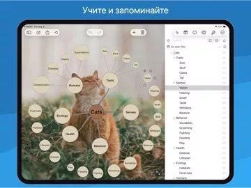 SimpleMind - Mind Mapping