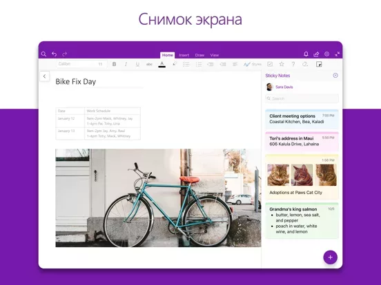 Microsoft OneNote