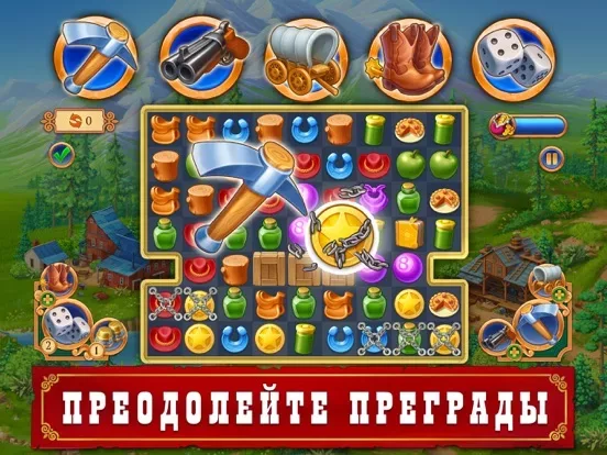 Jewels of the Wild West : Gems