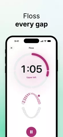 Hippobrush: Toothbrush Timer