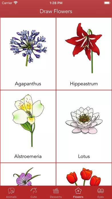How To Draw ⋆