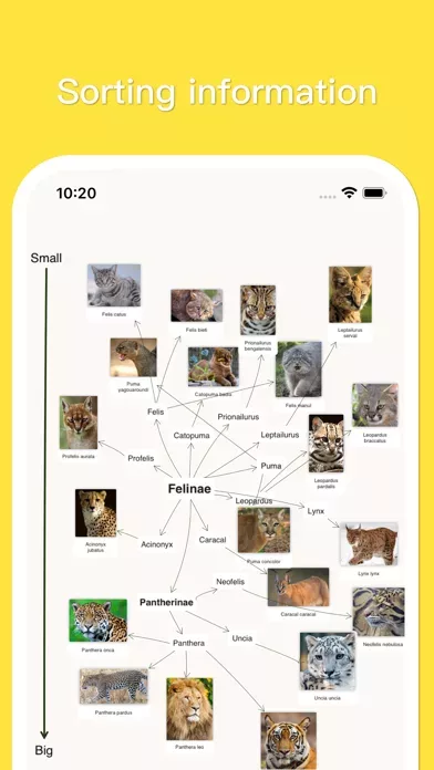 MindSpace - Mind Map