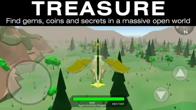 Dragon Squire: Open World RPG