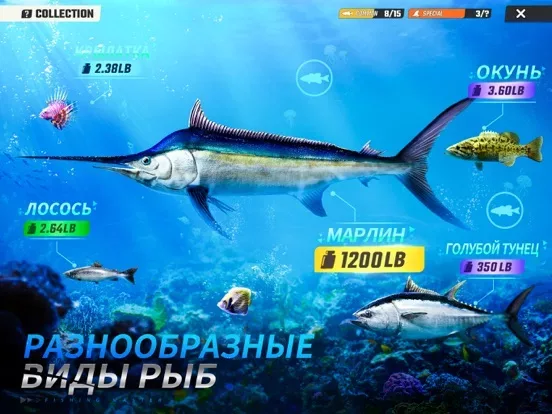 Fishing Master