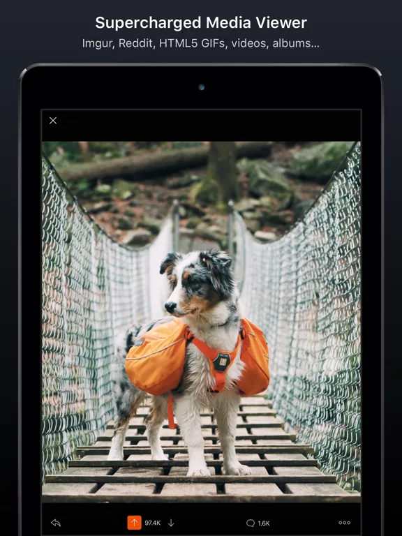 Apollo for Reddit